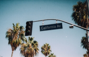 California street sign with palm trees and a traffic light.
